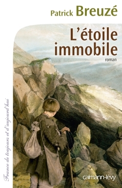 Picture of L'Etoile immobile