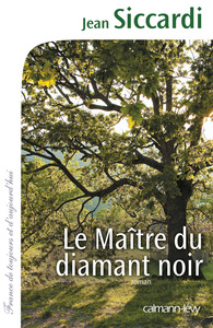 Image de Le Maître du diamant noir