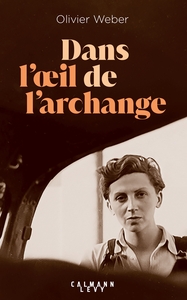 Picture of Dans l'oeil de l'archange