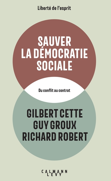 Picture of Sauver la démocratie sociale