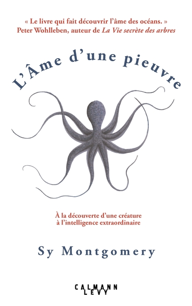 Picture of L AME D UNE PIEUVRE