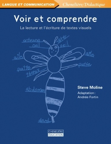 Picture of VOIR ET COMPRENDRE