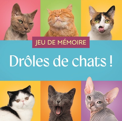 Image de Jeu de mémoire - Drôles de chats !