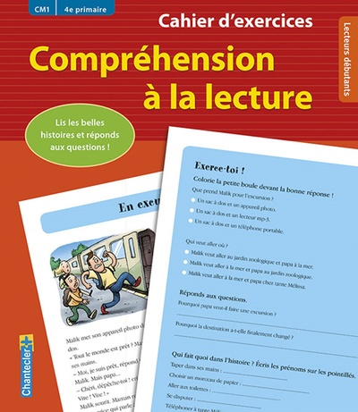 Picture of COMPREHENSION A LA LECTURE (CM1 4E PRIMAIRE) (ROUGE)