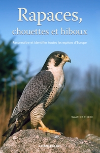 Image de RAPACES, CHOUETTES ET HIBOUX - RECONNAITRE LES ESPECES