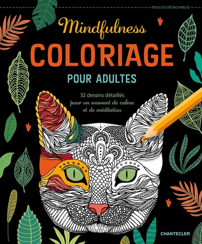Image de COLORIAGE POUR ADULTES - MINDFULNESS
