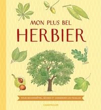 Picture of Mon plus bel herbier - collectionner des feuilles