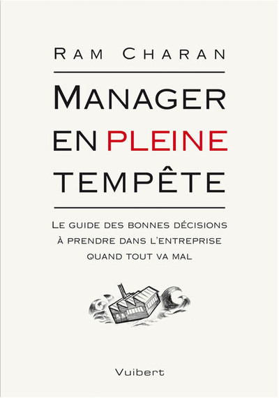 Image de Manager en pleine tempête