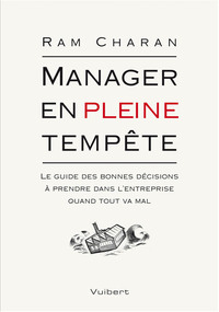 Image de Manager en pleine tempête