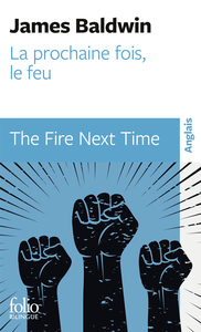 Image de La prochaine fois, le feu / The Fire Next Time