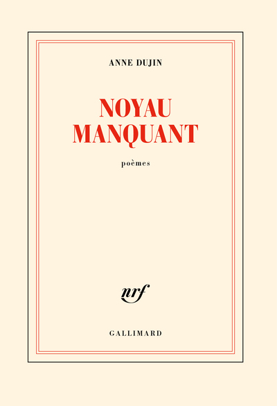 Picture of Noyau manquant