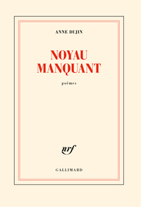 Picture of Noyau manquant