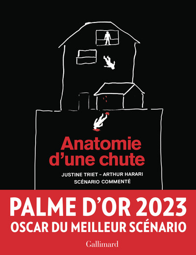 Picture of Anatomie d'une chute
