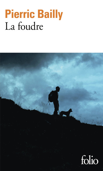 Picture of La foudre