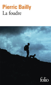 Picture of La foudre