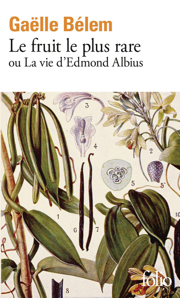 Picture of Le fruit le plus rare ou la vie d'Edmond Albius