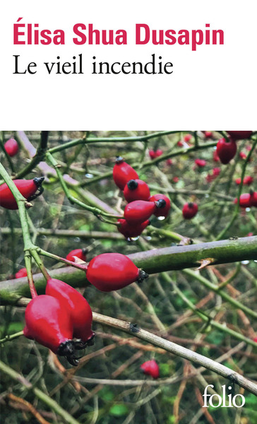 Image de Le vieil incendie