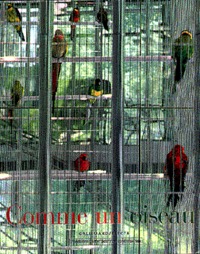 Picture of Comme un oiseau