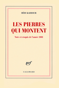 Image de Les pierres qui montent