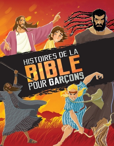 Image de Histoires de la Bible pour garçons