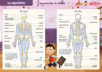 Picture of LE SQUELETTE/LES MUSCLES