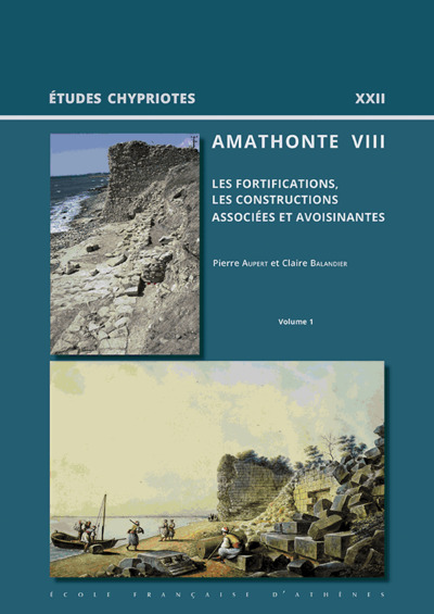 Image de Amathonte VIII