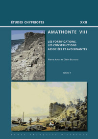Picture of Amathonte VIII