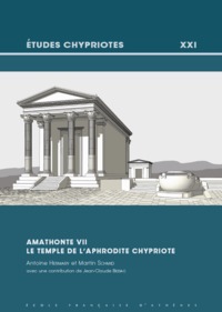Picture of Amathonte VII