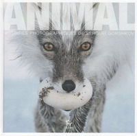 Picture of Animal - Histoires photographiques