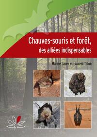 Image de Chauves-souris et forêt