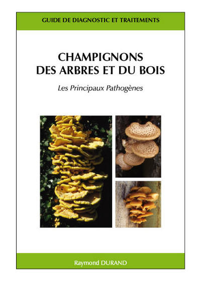 Image de Champignons des arbres et du bois