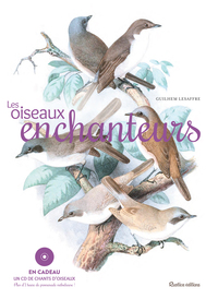 Picture of Les oiseaux enchanteurs
