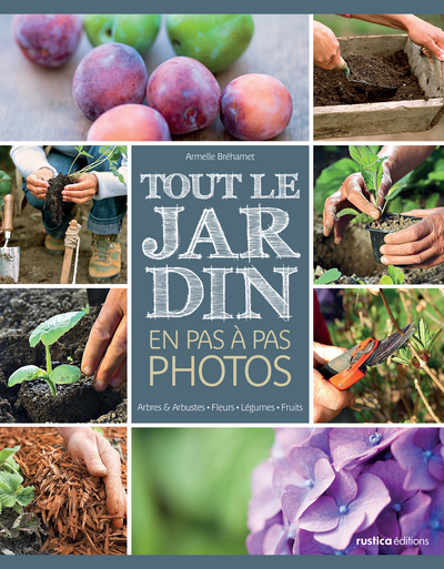 Image de Tout le jardin en pas à pas photos