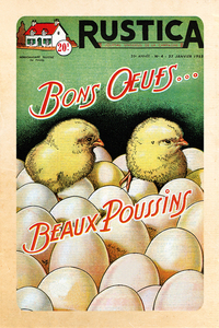 Image de CARNET DE NOTES VINTAGE BONS OEUFS BEAUX POUSSINS