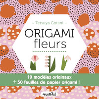 Image de Origami fleurs