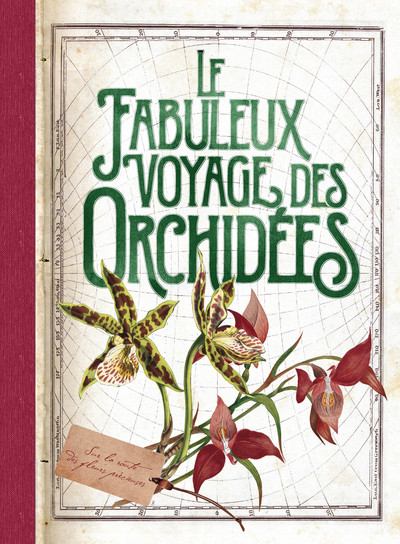 Picture of Le fabuleux voyage des orchidées
