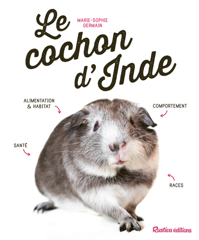 Image de Le cochon d'Inde