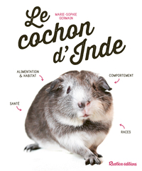 Image de Le cochon d'Inde