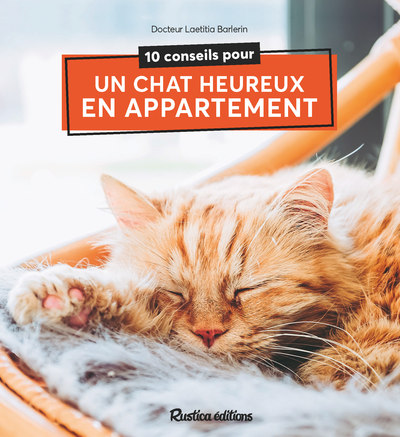 Image de 10 conseils pour un chat heureux de vivre en appartement