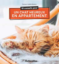 Image de 10 conseils pour un chat heureux de vivre en appartement
