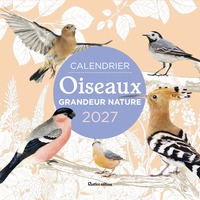 Image de Calendrier Oiseaux grandeur nature 2027
