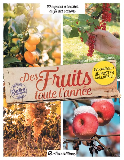 Image de Des fruits toute l'année