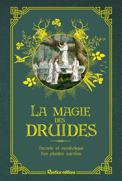 Image de La magie des druides
