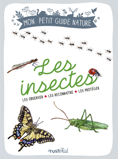 Image de Les insectes