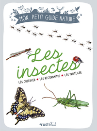 Image de Les insectes