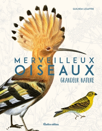 Picture of Merveilleux oiseaux grandeur nature