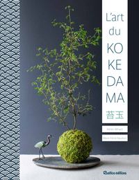 Picture of L'art du kokedama