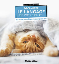 Image de Décryptez le langage de votre chat !