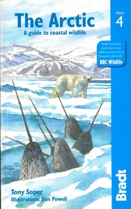 Image de ARCTIC