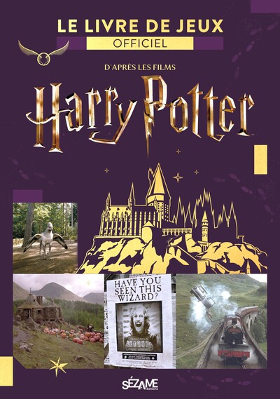 Image de Le livre de jeux officiel Harry Potter